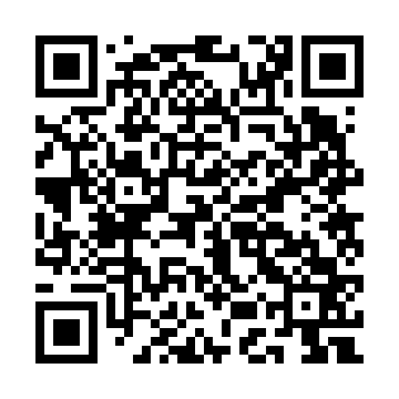 QR code for AER663