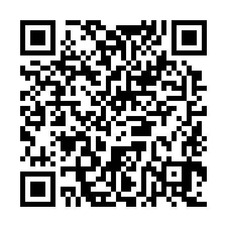 QR code for AFN383