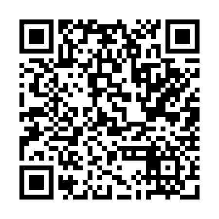 QR code for AIG737