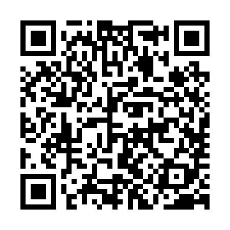 QR code for AIR289