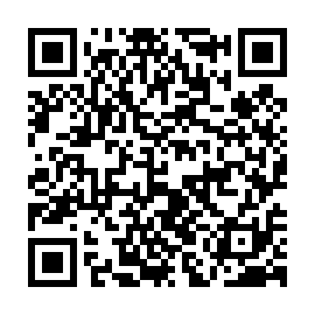 QR code for AMO411