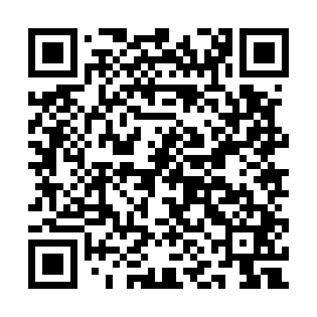 QR code for ANJ541