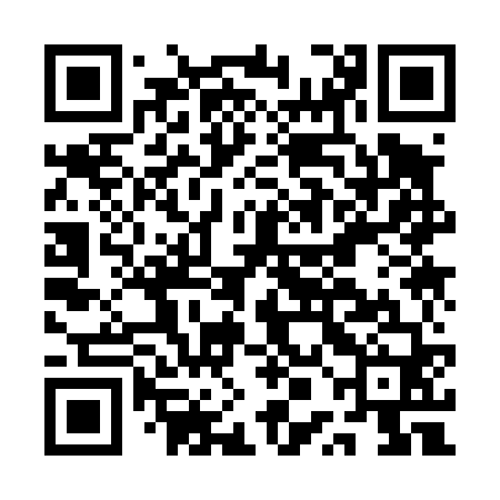 QR code for APK460