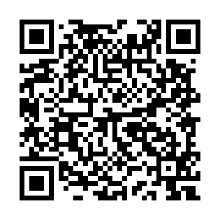 QR code for ASX595