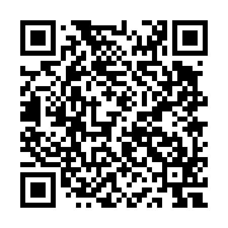 QR code for AVA497