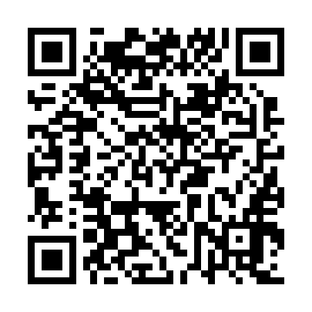 QR code for AVV256