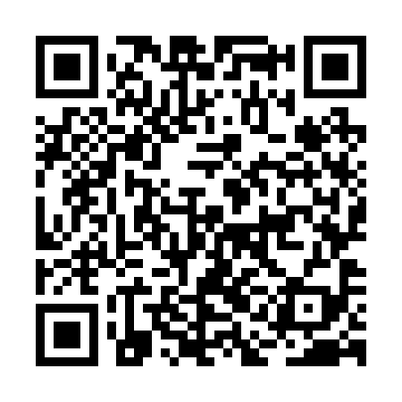 QR code for BAO299