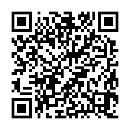 QR code for BAS383