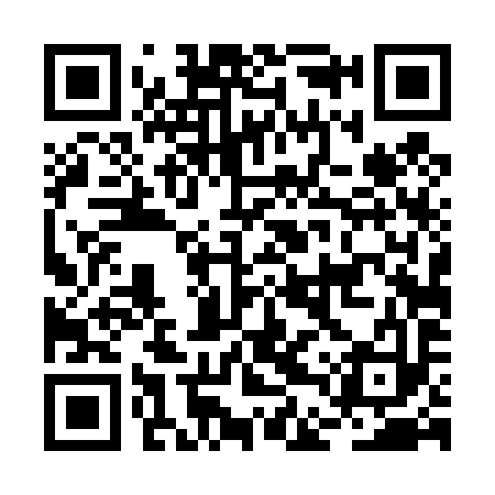 QR code for BDT493