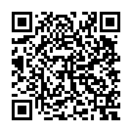 QR code for BDZ411