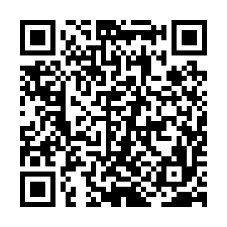 QR code for BIA296