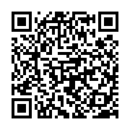 QR code for BIR519