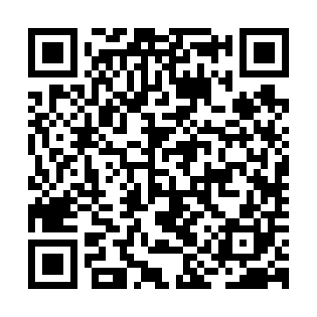 QR code for BIR600