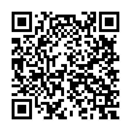 QR code for BIZ863