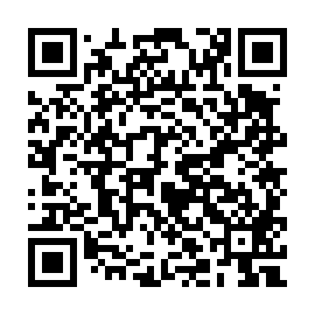 QR code for BLO489