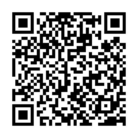 QR code for BMI411