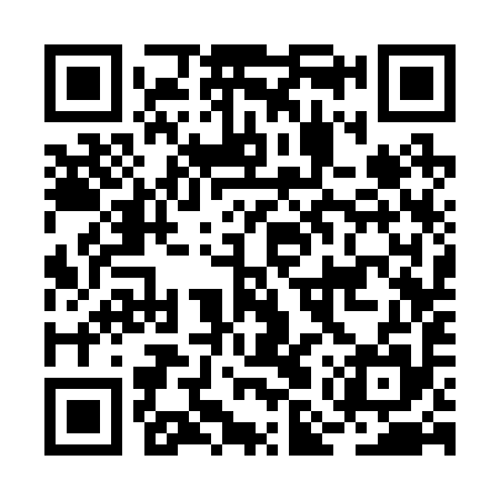 QR code for BMS295