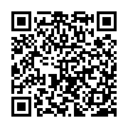 QR code for BMV541