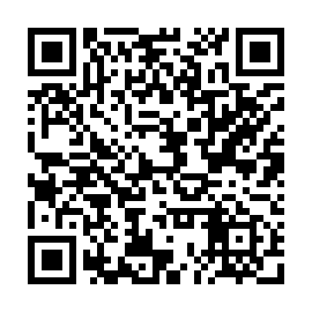 QR code for BOR959