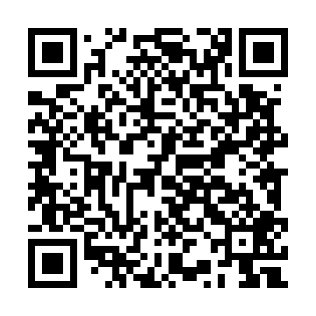 QR code for BRL509