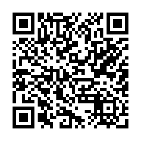 QR code for BSE919