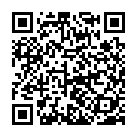 QR code for CAE329