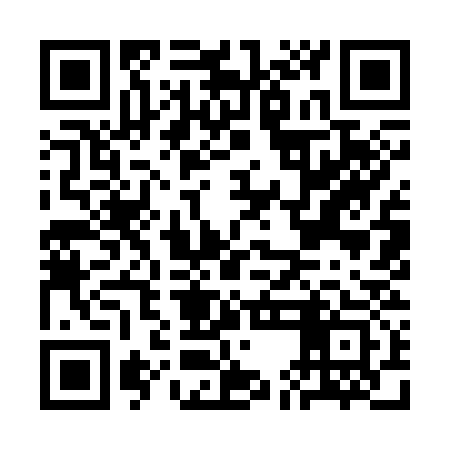 QR code for CEI333