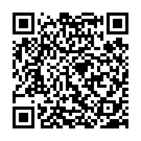 QR code for CFS638