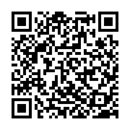 QR code for CHF319