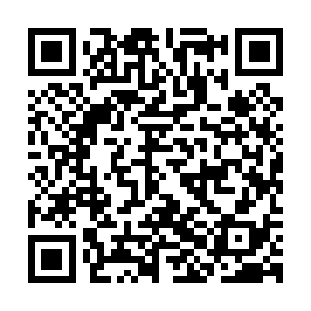 QR code for CHI038