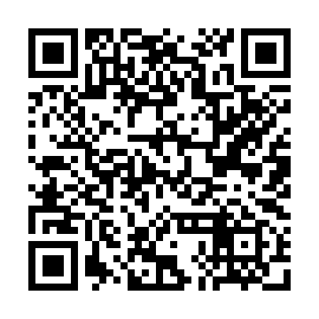 QR code for CHI399