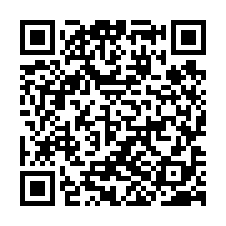QR code for CHO698