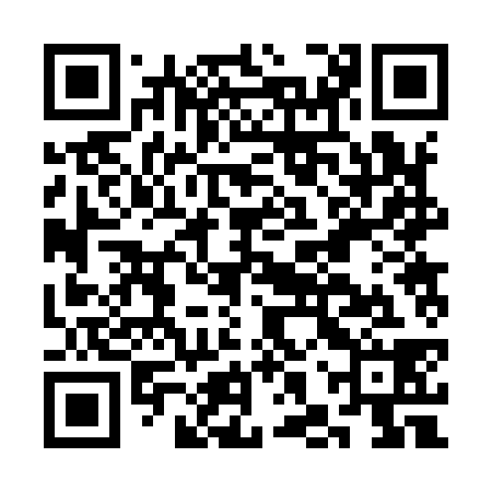 QR code for CHR938