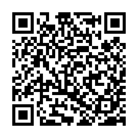 QR code for CHS480