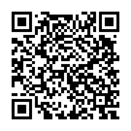 QR code for COG461