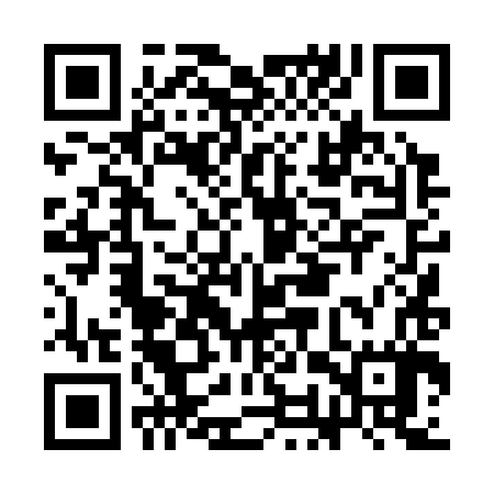 QR code for COT387