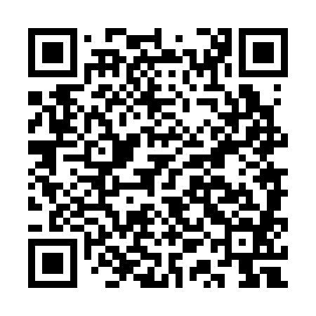 QR code for CQN384
