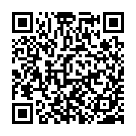 QR code for CQS381