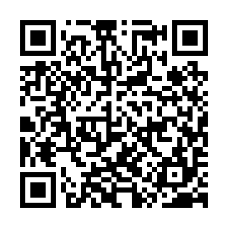 QR code for CQU294