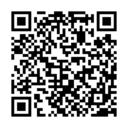 QR code for CYX617
