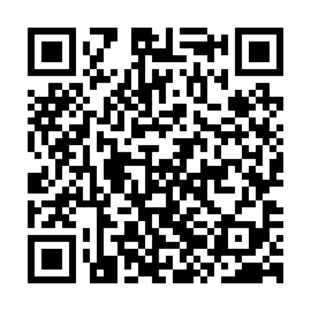QR code for CZO299