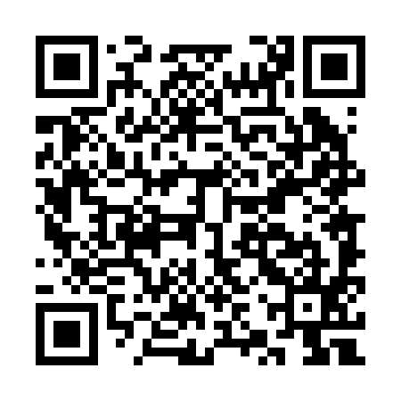 QR code for CZT295