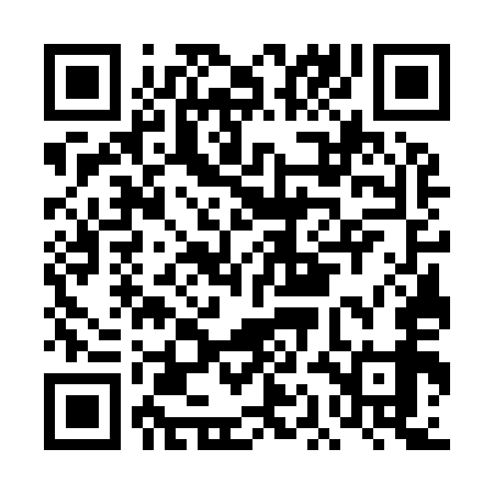 QR code for DAG959
