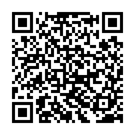 QR code for DBG741