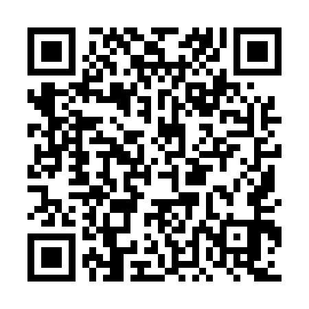 QR code for DDI551