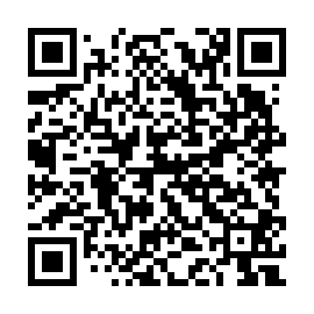 QR code for DDM600