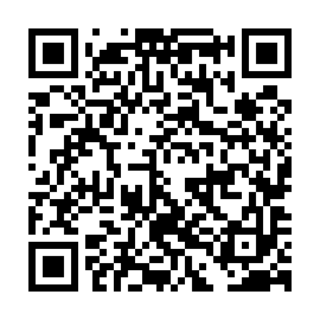 QR code for DDN593