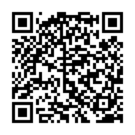 QR code for DFL461