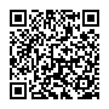 QR code for DFS575