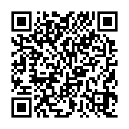 QR code for DGA333